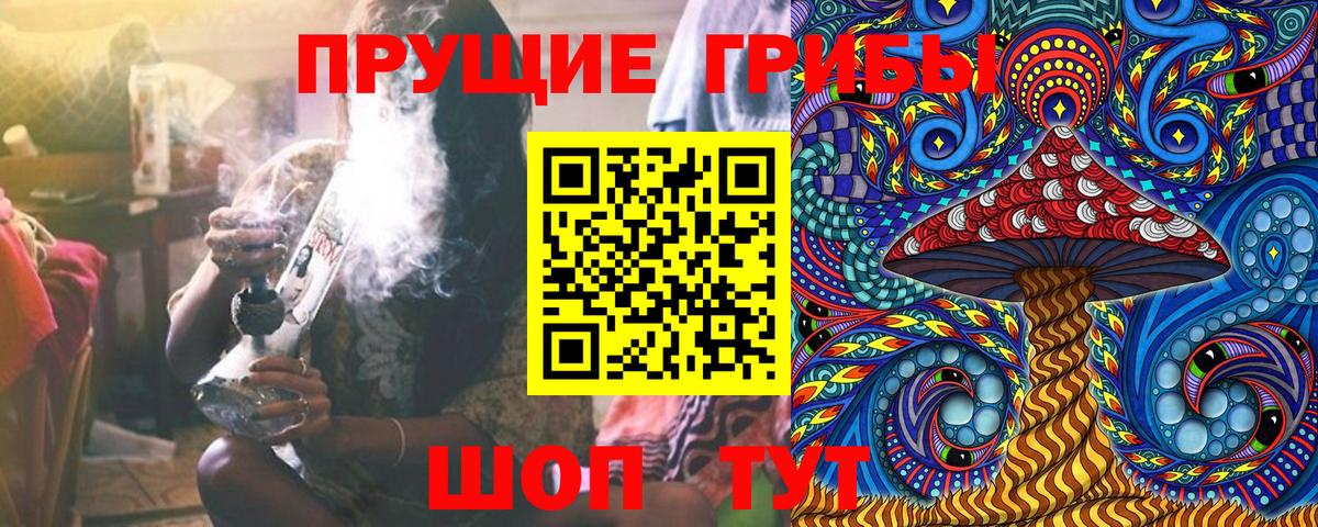 Псилоцибиновые грибы Psilocybine cubensis Елец