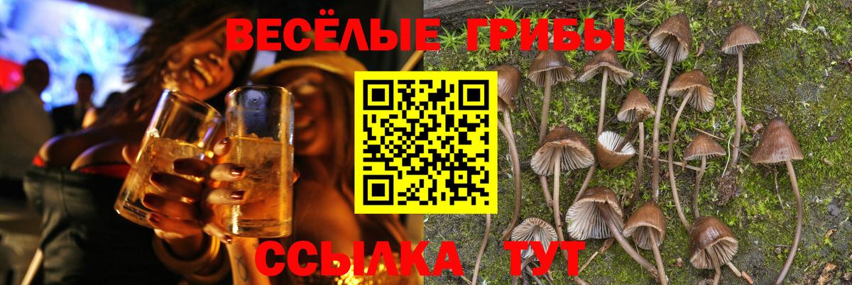 как найти закладки  Псилоцибиновые грибы Cubensis  Вход с VPN  Елец 